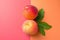 two peaches laid out on a background of bright brights