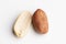 Two peanuts isolated on a white background