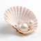 Two pearls in a shell on a white surface.