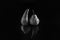 Two pears of different varieties on a black matte background. The concept of tolerance and body positivity
