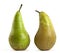 Two pears on white