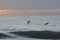 Two pelicans fly near the shoreline on this beautiful Amelia Island beach