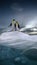 Two penguin looking around ice rock and see clear beautiful ocean High quality 3d illustration render