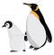 Two penguins, icon