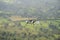 Two people flying in autogyro