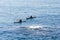 Two people on a kayak in the sea near a vortex