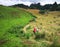 Two people on Mangapohue Natural Bridge walk in Waitomo in summer