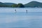 Two people on paddle boards