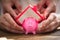 Two People Protecting Pink Piggybank