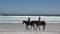 Two people riding horses along scenic Noordhoek beach