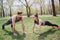 Two people are staying in a plank position on grass in park. They are having some exercises outdise. They are