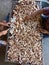 Two people are tidying cocoa pods on a drying board