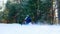 Two people wearing helmets ride a snowmobile on a groomed trail past trees in a forest in Minnesota on a sunny winter day