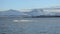 Two personal watercrafts racing on blue fjord with snowy mountains in the back