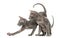 Two Peterbald kittens, cats, isolated