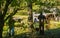 Two Photographers at Mabry Mill, Floyd County, Virginia USA