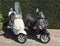 Two Piaggio Vespa Primavera scooters