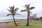 Two Picturesque Palm Trees on Durban Beachfront