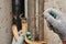 Two pieces of an old rusty bent plumbing pipe that has become unusable due to corrosion, a plumber in work gloves shows the time