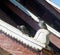 Two pigeon singing on temple roof