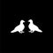 Two pigeons icon or logo on dark background