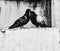 Two pigeons on a low wall flirting. the mating season, ready to mate and raise a family. romantics. grainy black and white photo