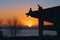 Two pigeons in silhouette on a gazebo roof as the sun goes down on the horizon. There is a bay of water and winter trees