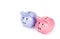 Two piggy banks on white background. Blue piggy bank on white background. Pink piggy bank. Copy space. Money and finance