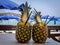 Two pinacolada coctails in fresh pineapple fruit on the bar table.