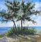 Two pine trees on the beach in summer, oil painting