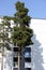 two pine trees next to a residential building