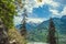 Two pines on background blue sky with clouds and Himalayan mountans