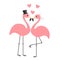 Two pink flamingo set. Wedding couple. Bride and groom. Black hat, veil, heart. Happy Valentines Day. Exotic tropical bird. Cute