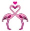 Two pink flamingos in love