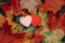 Two pink red small foam hearts lying on ground in autumn fall red yellow orange maple leaves