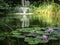 Two pink water lilies `Marliacea Rosea` in the foreground of the pond. Blurred cascade fountain in the background