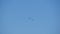 Two planes fly side by side and crossing close together during an airshow against blue sky. Aerobatics. Close-up