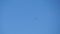 Two planes fly side by side and crossing close together during an airshow against blue sky. Aerobatics. Close-up