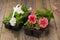 Two plastic flowerpots with white and pink petunia seedlings on the aged wooden table.