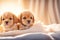 Two playful puppy lying under white blanket on a bed at home. ai generative