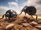 Two plugging dung beetles