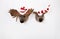 Two plush reindeer with santa hats hanging on a wooden wall for