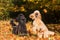 Two poodles with autumn leaves