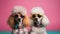 two poodles with funky sunglasses on pink background, neural network generated image