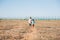 Two poor refugee children seekers boy with toy and girl walking across hot desert with state border fence on background hand in