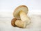 Two porcini. White edible wild mushrooms on light wooden background.