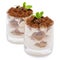 Two portions Classic tiramisu dessert in a glass isolated on a white background with clipping path