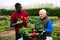 Two positive gardeners talking about good harvest