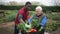 Two positive gardeners talking together near crate with vegetables in garden outdoor