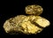 Two precious gold nuggets on black background. Pieces of gold ore